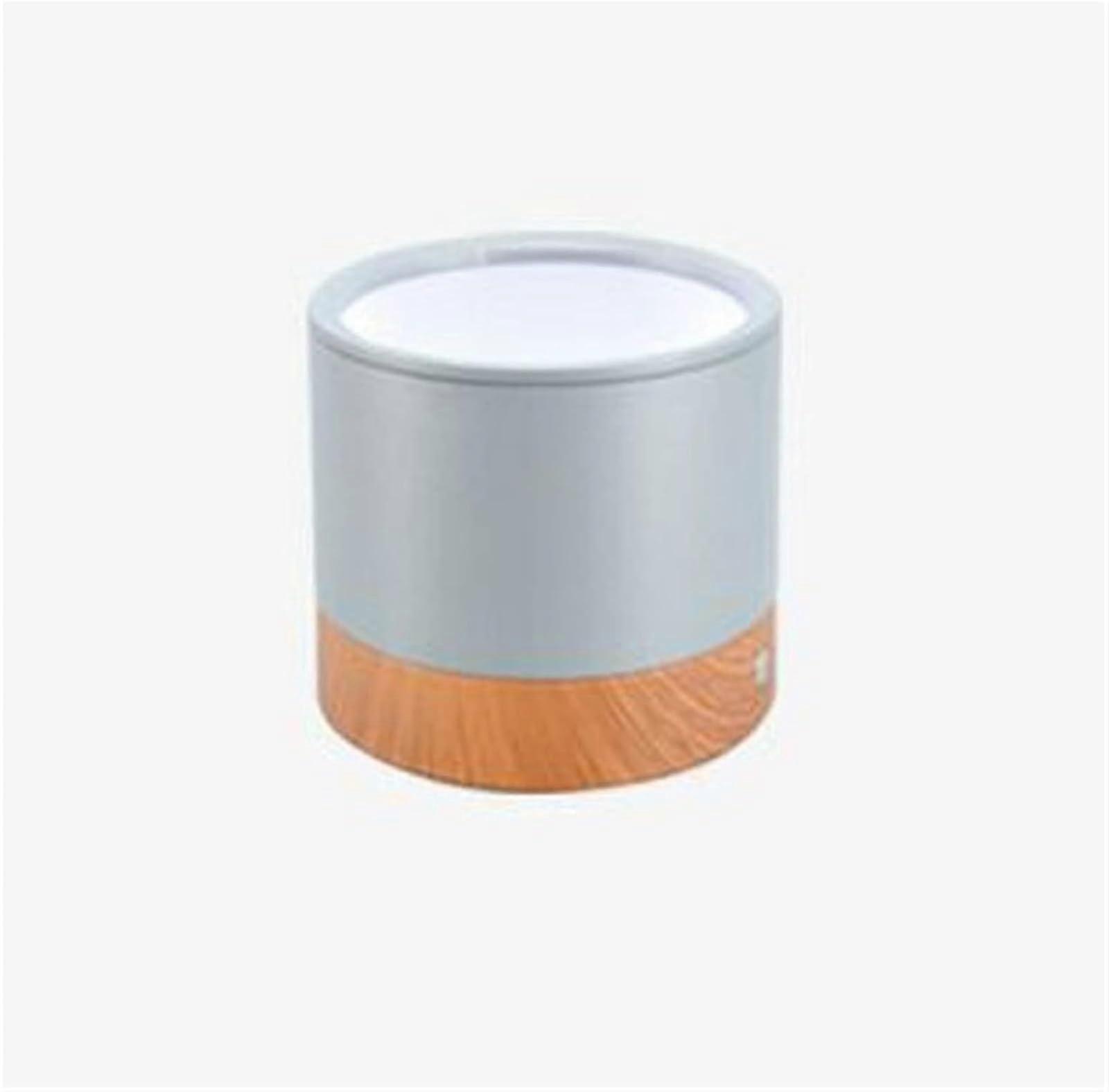 LED Spotlight Wall Mounted Adjustable Accent Light for Artwork, Energy Saving Gray Wrought Iron