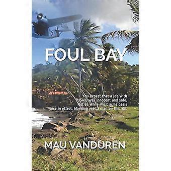 Foul Bay: Je zou verwachten dat een baan bij USAID onschuldig en veilig was. Dat was niet het geval zolang er illegale wapenhandel plaatsvond. Manning was een man op de vlucht.