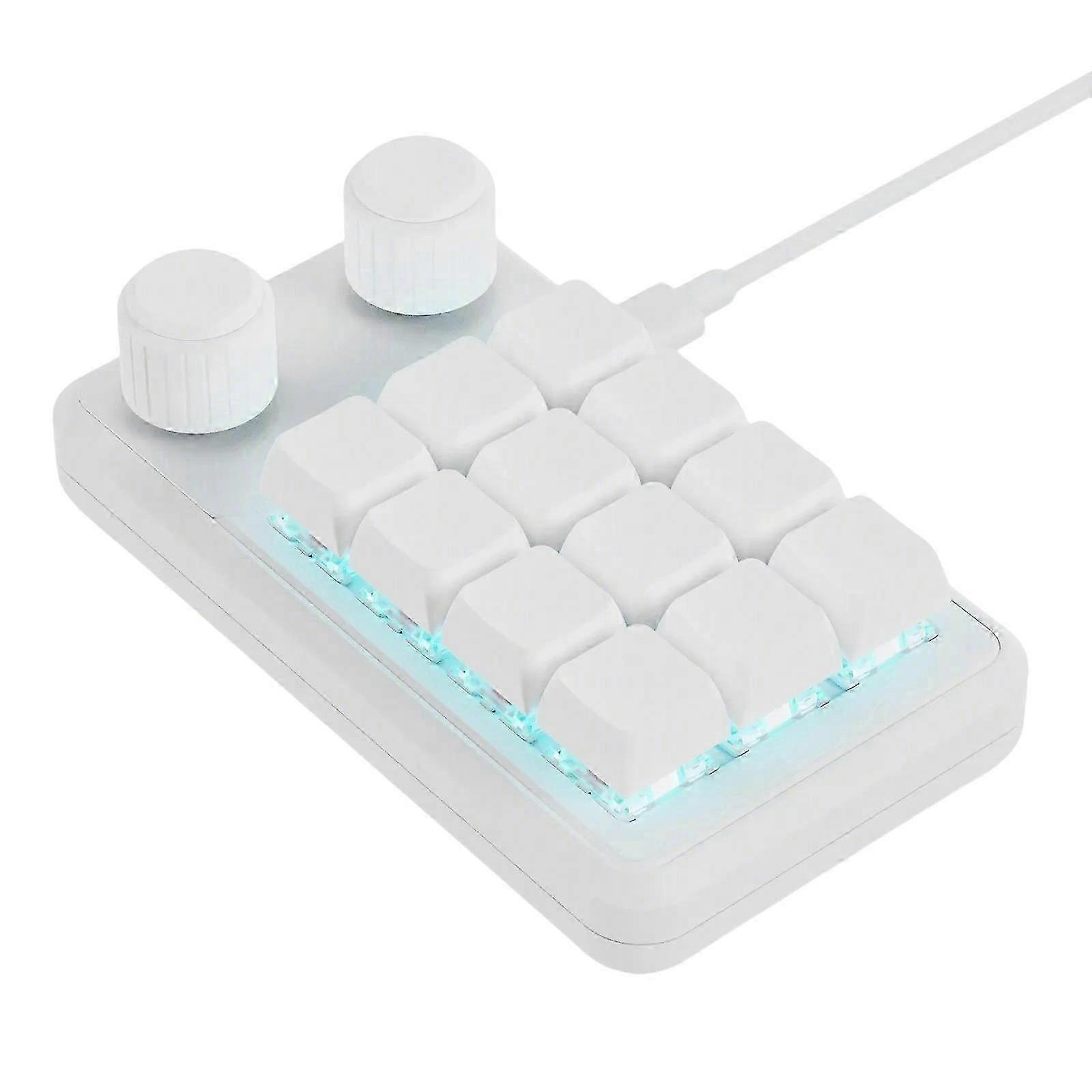 Programmable 12 Key Mini Mechanical Gaming Keyboards With Two Knobs and RGBs Lighting Type C Cable