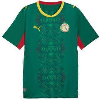 Puma Mens World Cup 2026 Senegal Away Shirt