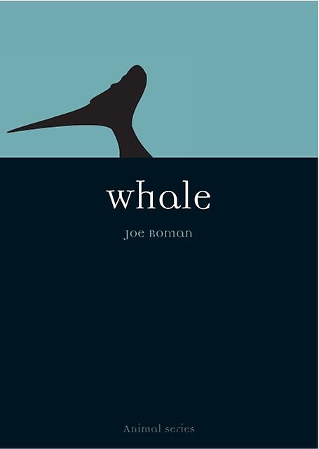 Whale by Joe Roman Paperback Book