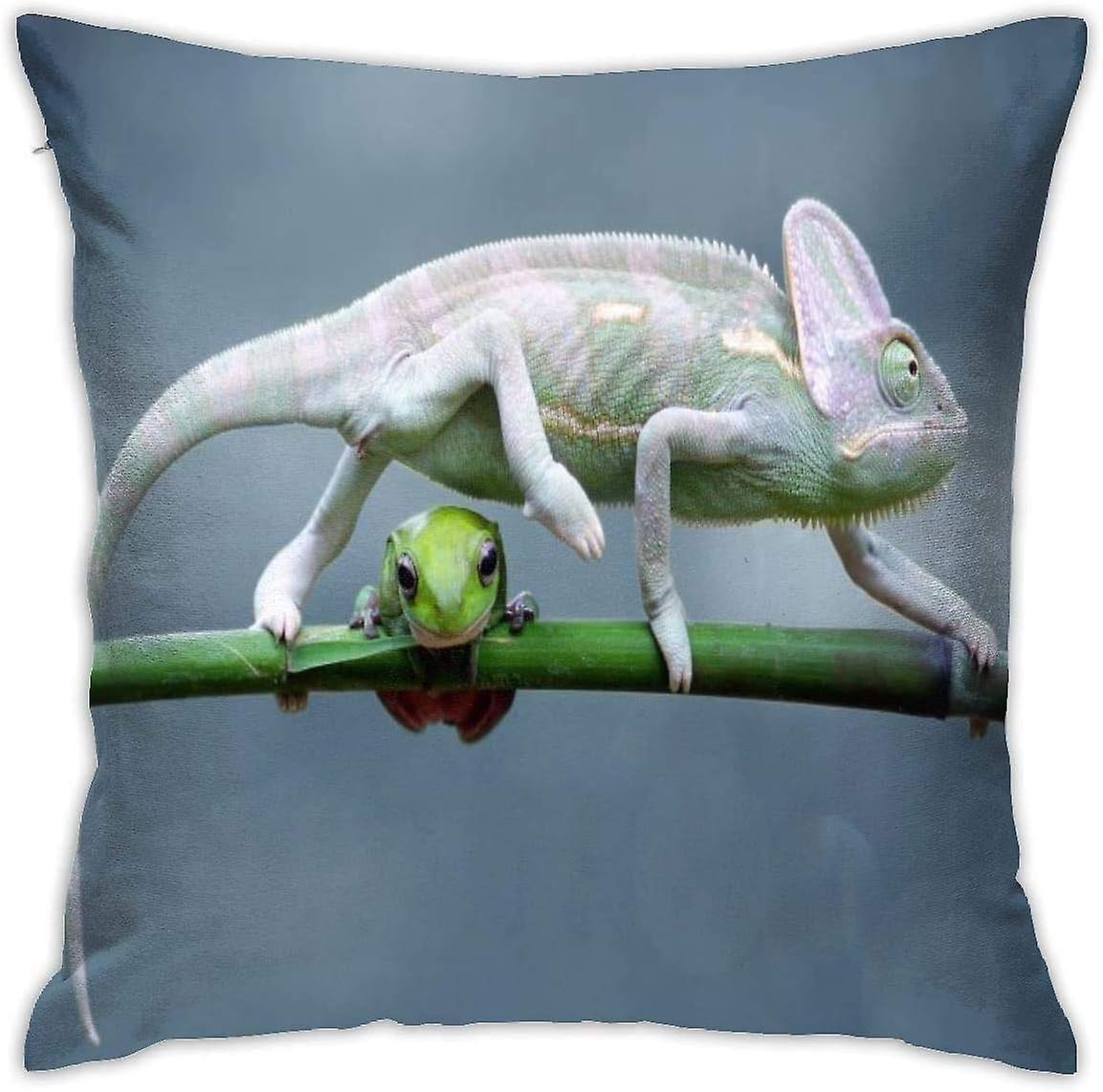 柔らかい装飾的なスロー枕ケースダンピーフロッグスクエア枕カバー快適なクッションカバーソファベッドチェアカーホームデコレーションのための豪華な枕カバー。(18x18インチ)