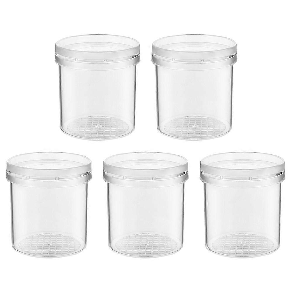 5Pcs Bug Viewer Box Magnifying Insect Box Bug Magnifier Container Box Science Nature Exploration Tools