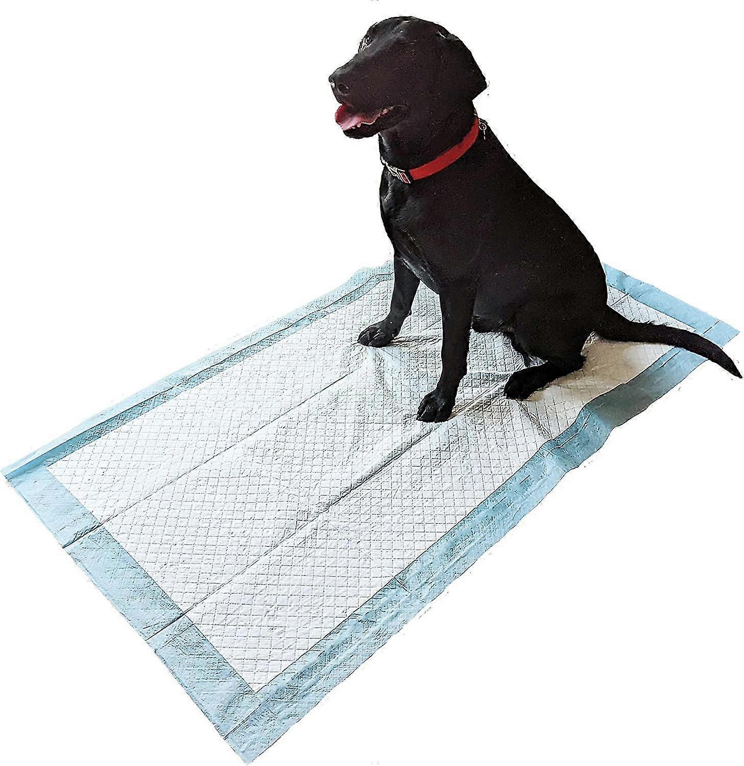20 Extra Large Chien Toilette Entraînement 1500 x 800 mm 2300 ml Wee Pads Chiot Absorbant pour animaux de compagnie Mat_way Dxldv
