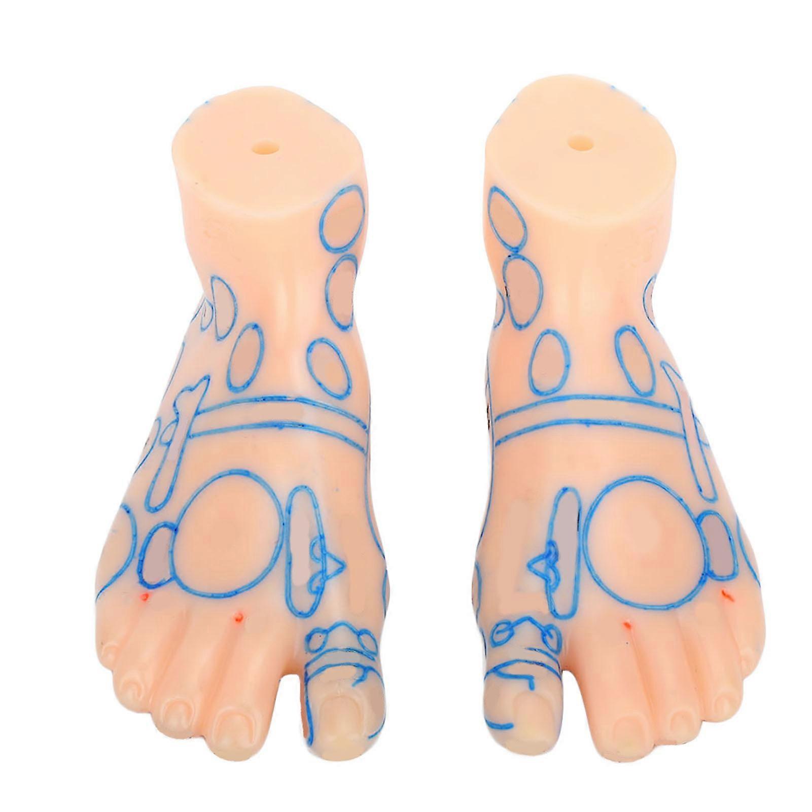 15cm Professional Feet Massage Acupuncture Acupoint Reflection Zone Model Teaching Tool