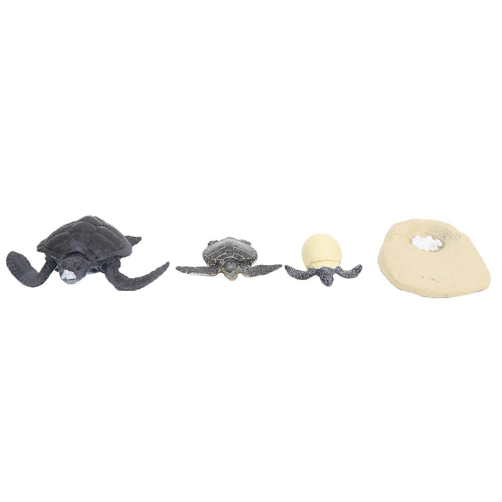 Simulation Animal Model Sea Life Animals Life Cycle Cognitive Model Kid Science Toy