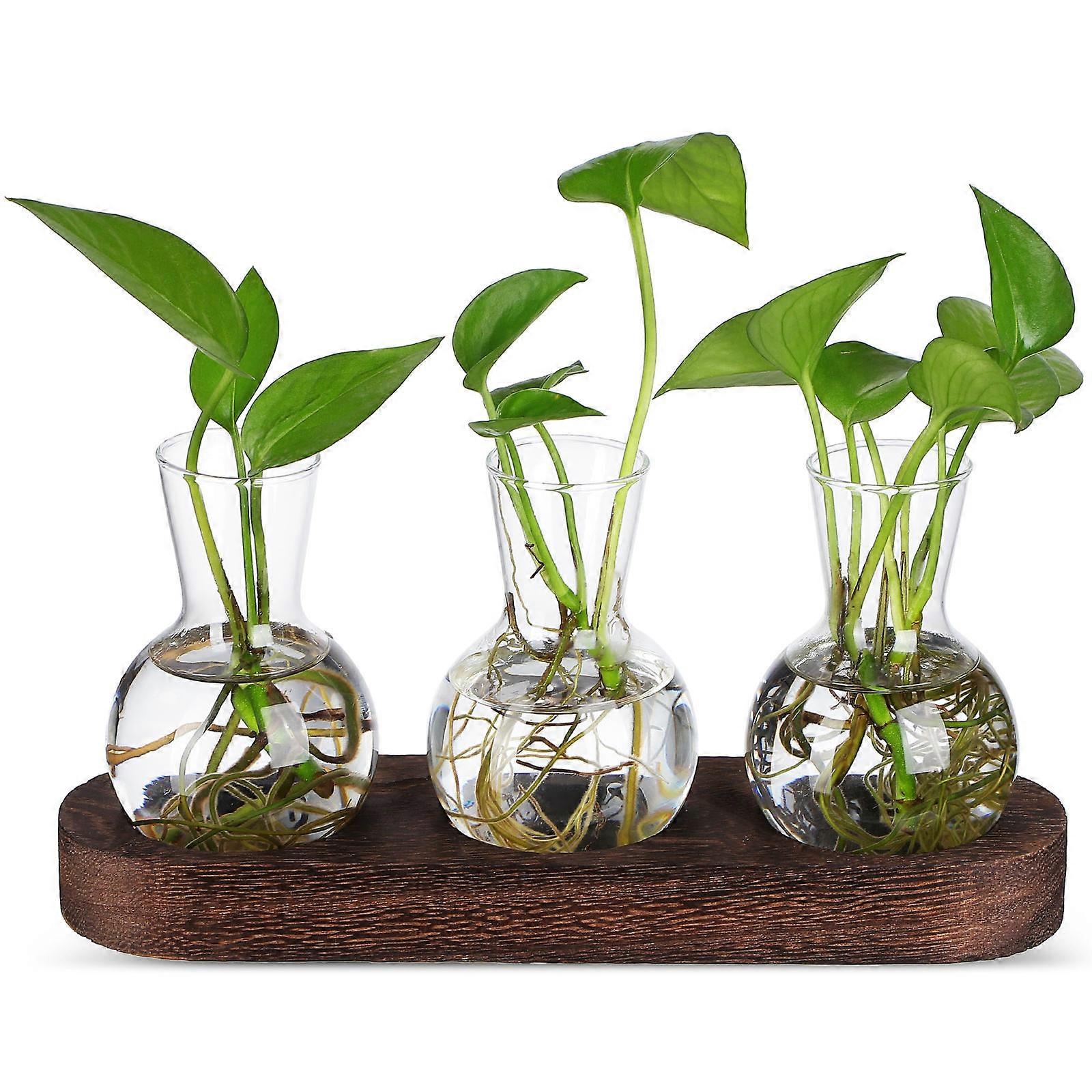 Creative Hydroponic Vase Glass Container Pots Plant Propagation Tabletop Centerpiece Transparent 8.9×4.7×3in 1 Set