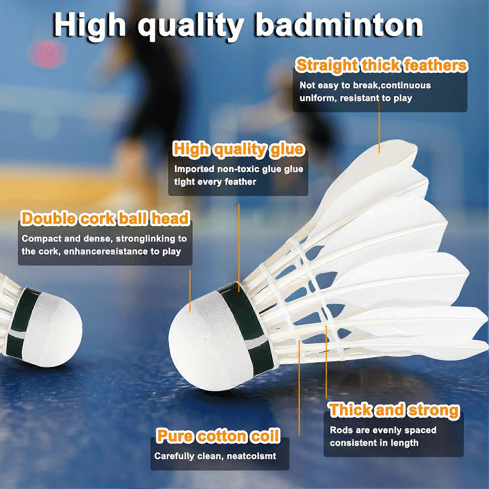 Training Badminton Racket Shuttlecock Set Physical Education Exercise Sports Equipment Iron Alloy Badminton Racket Kit