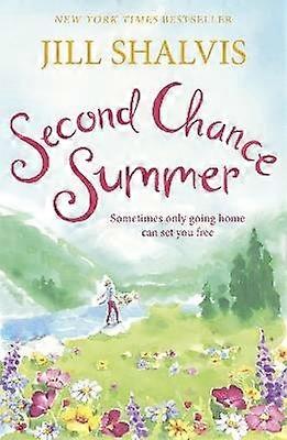 Second Chance Summer