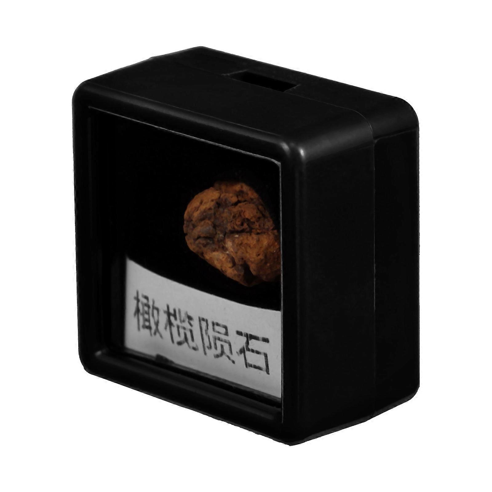 Irregular Meteorite Stone Sample Teaching Specimen For Students Classroom Decor 1Pack