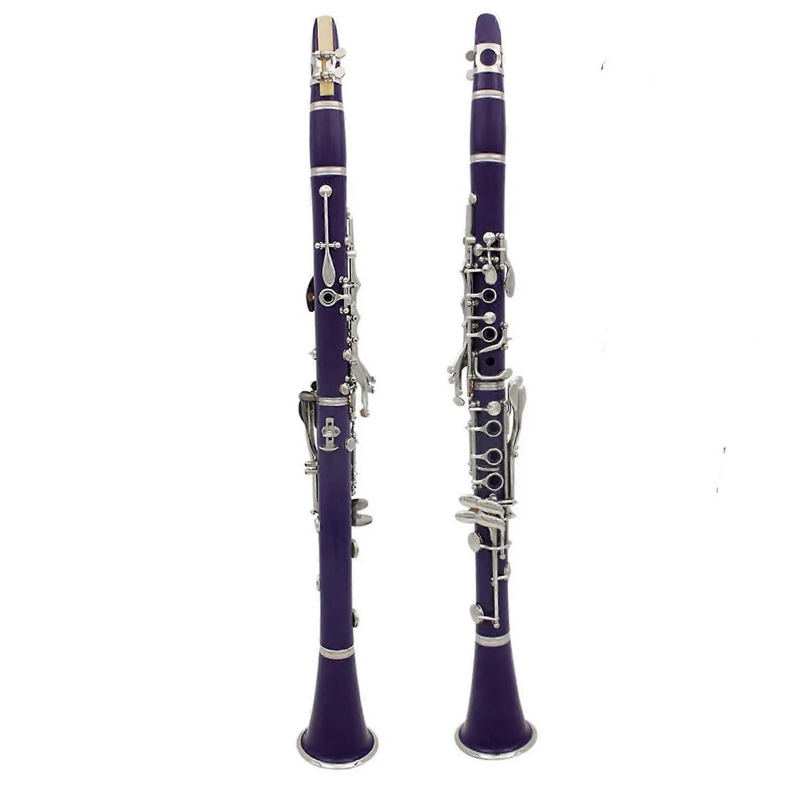 Professional Bb Clarinet with Durable ABS Ebonite Body, Responsive Nickel Keys, Bright Focused Tone