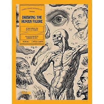 Dessiner la figure humaine