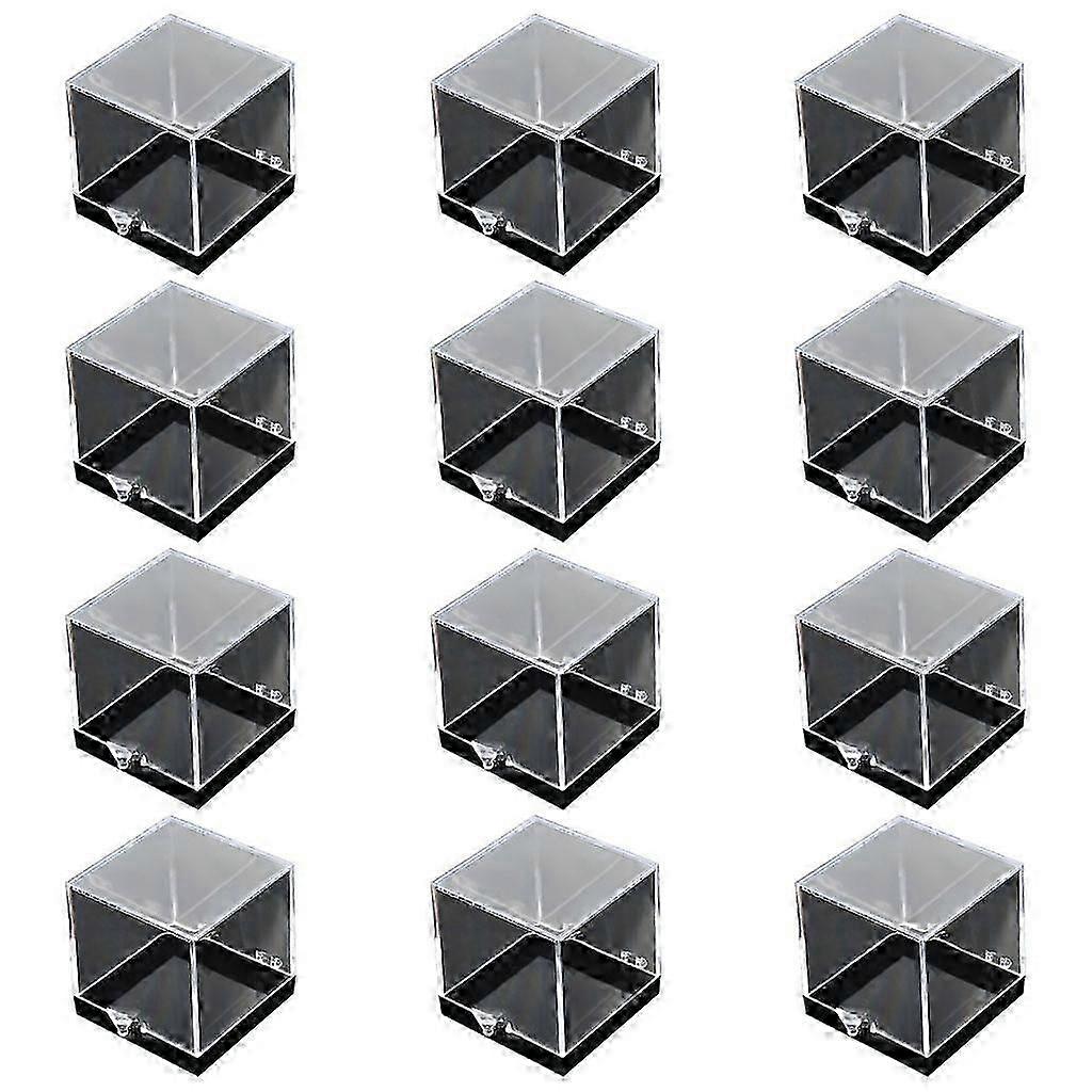 12pcs Clear Specimen Display Boxes for Education