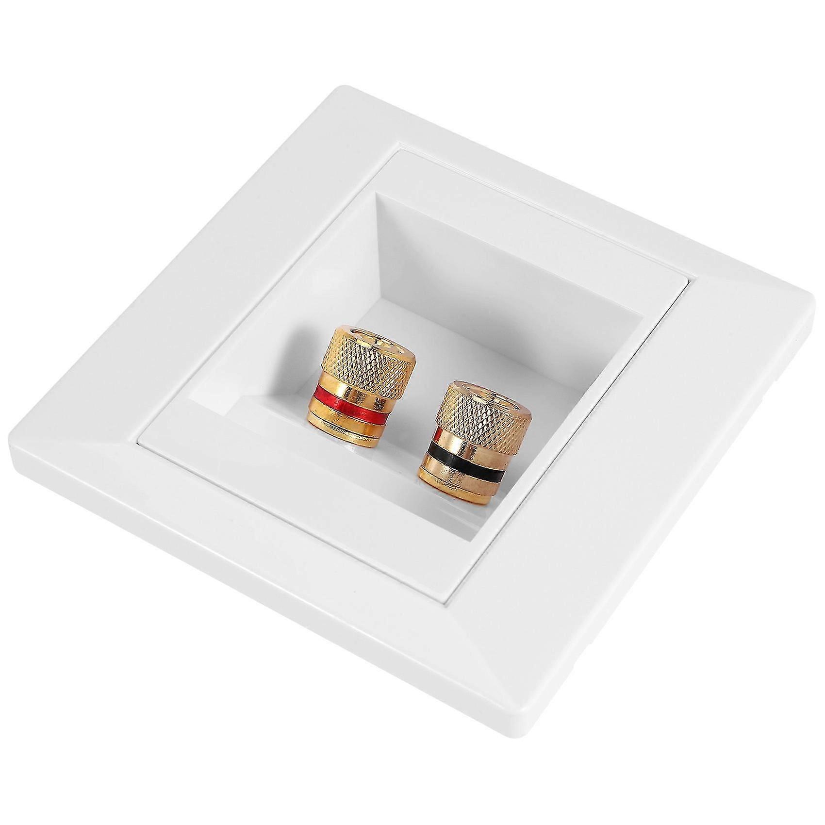 Wall Socket Connection Port with 2 Jack Speaker
