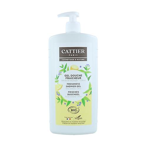 Refreshing Shower Gel Wild Verbena Citrus 1 L of gel