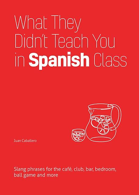 What They Didnt Teach You In Spanish Class by Juan Caballero Paperback Book