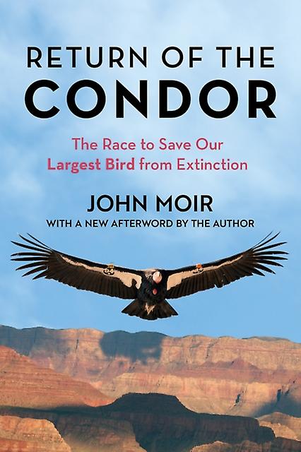 Return Of The Condor by John Moir Paperback