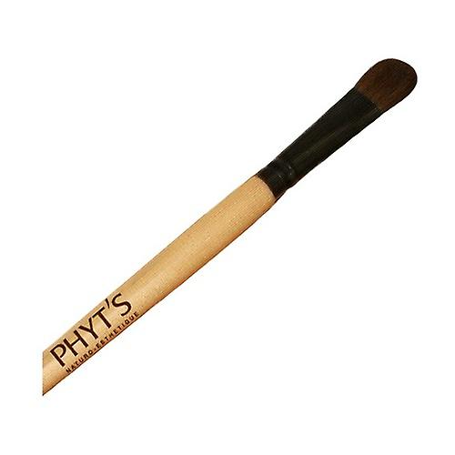 eye shadow brush 1 unit