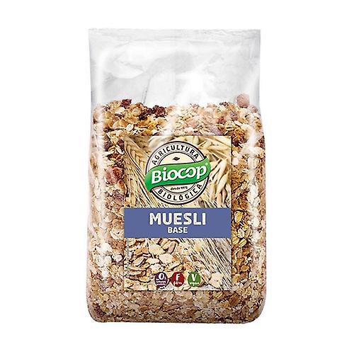 Sugar Free Muesli Base 1 kg
