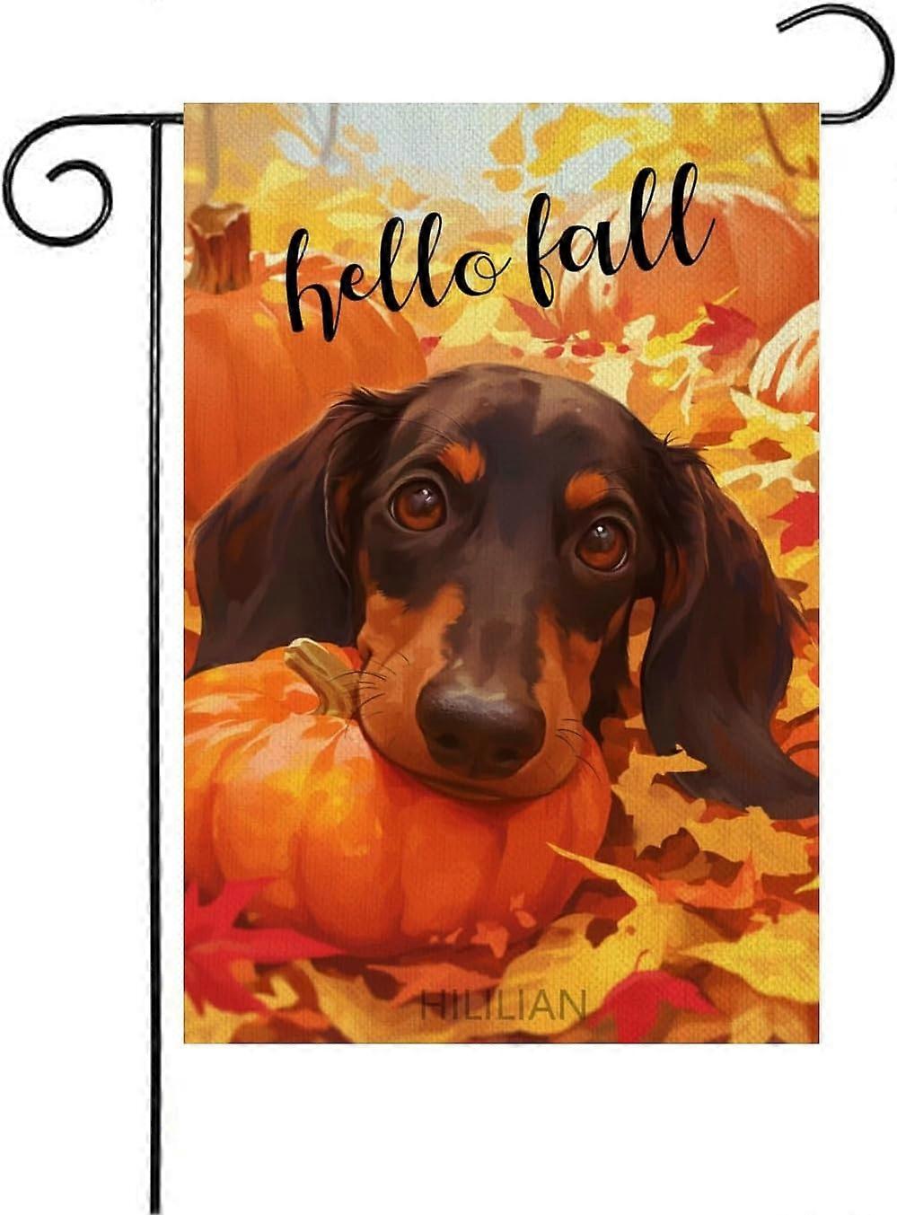 Hello Fall Dachshund Flag 28x40 Double Sided, Pumpkins Garden Flags(6541)