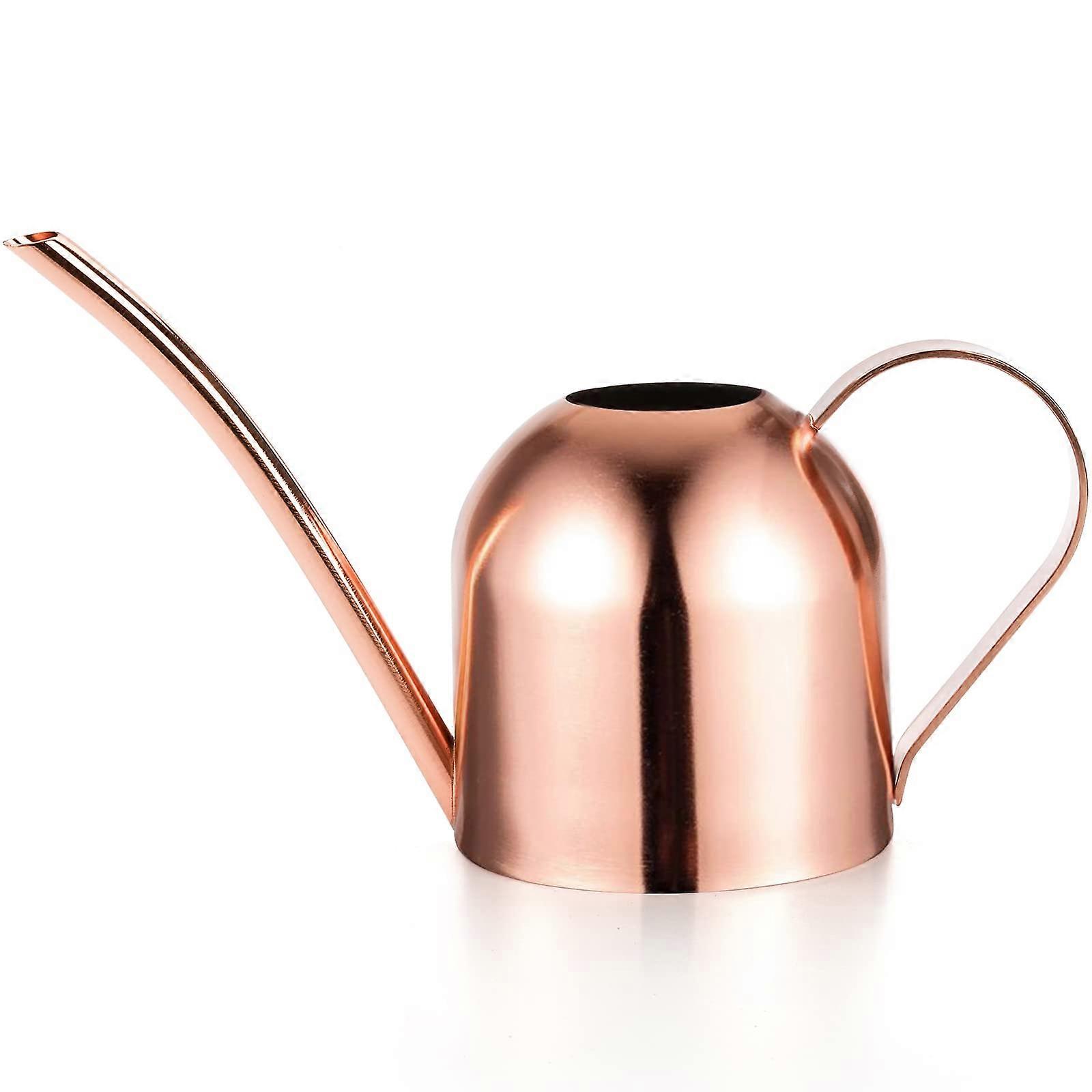 Vannkanne i rustfritt stål, liten moderne stil, 15 oz/450 ml med lang tut, for planter (kobber)