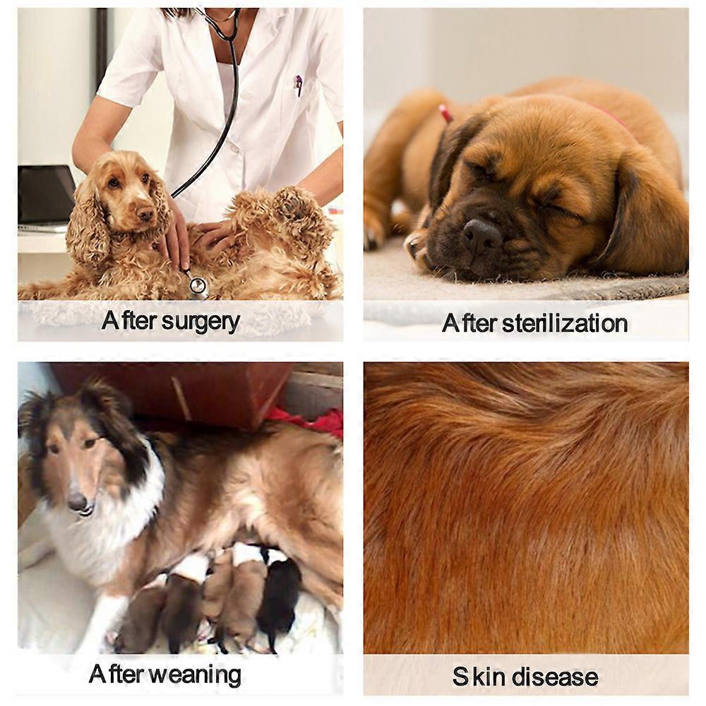 View of Dog Recovery Suit, Surgical Wound Protection, Post-Surgery Comfort ...