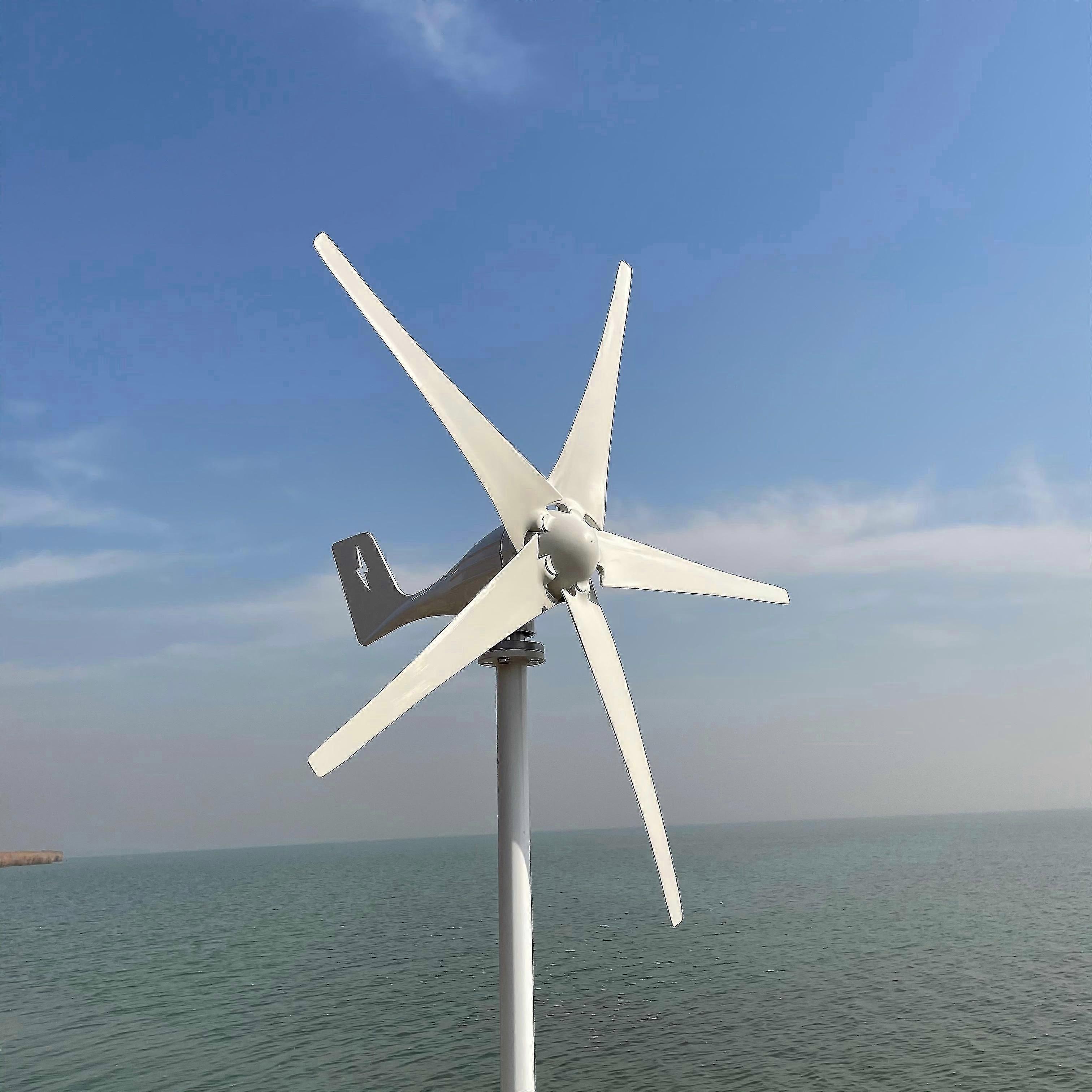 3000w 5 Blades 12v 24v 48v Free Energy Windmill Wind Power Small Wind Turbine Generator Mppt Controller For Home Use
