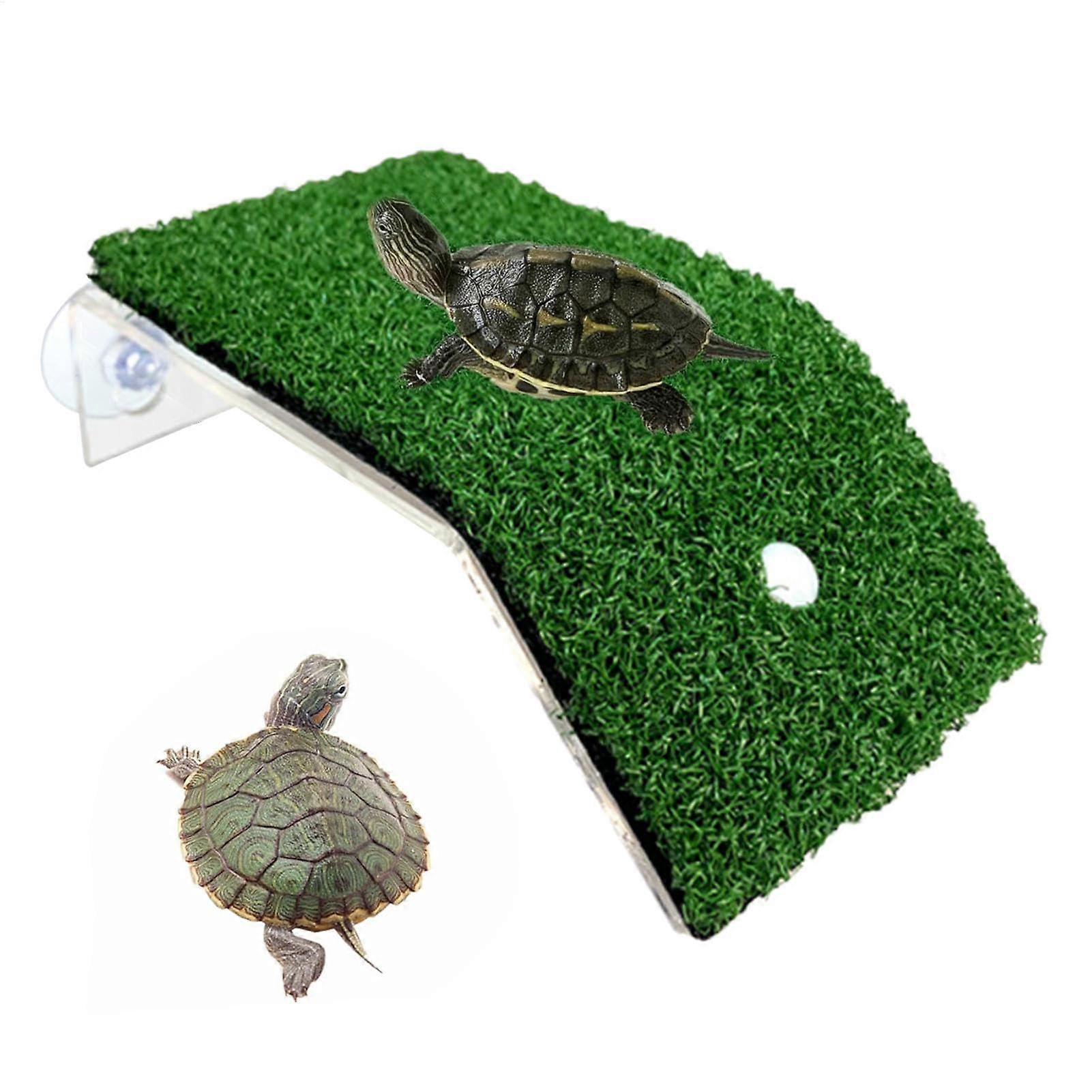 Ramp with turtles  basking  floating habitat dock, terrarium  climbing platform
