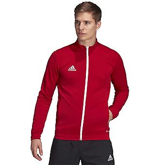 Adidas Entrada 22 H57537 træning hele året mænd