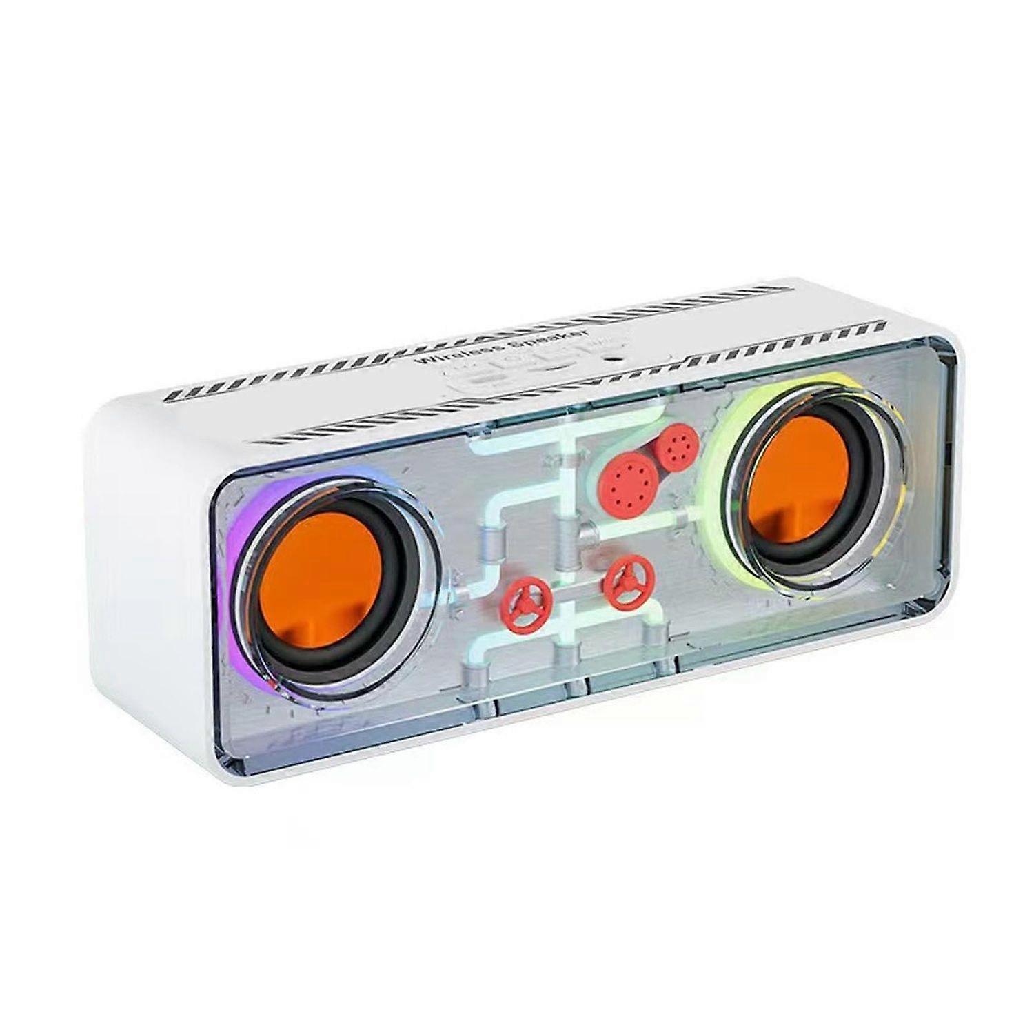 Portable Speaker, 10W Outdoor Speakers with Colorful LED Light, Stereo Sound Speaker for Party, Home Theater, Game Theater, Long Playtime, Crystal Cle