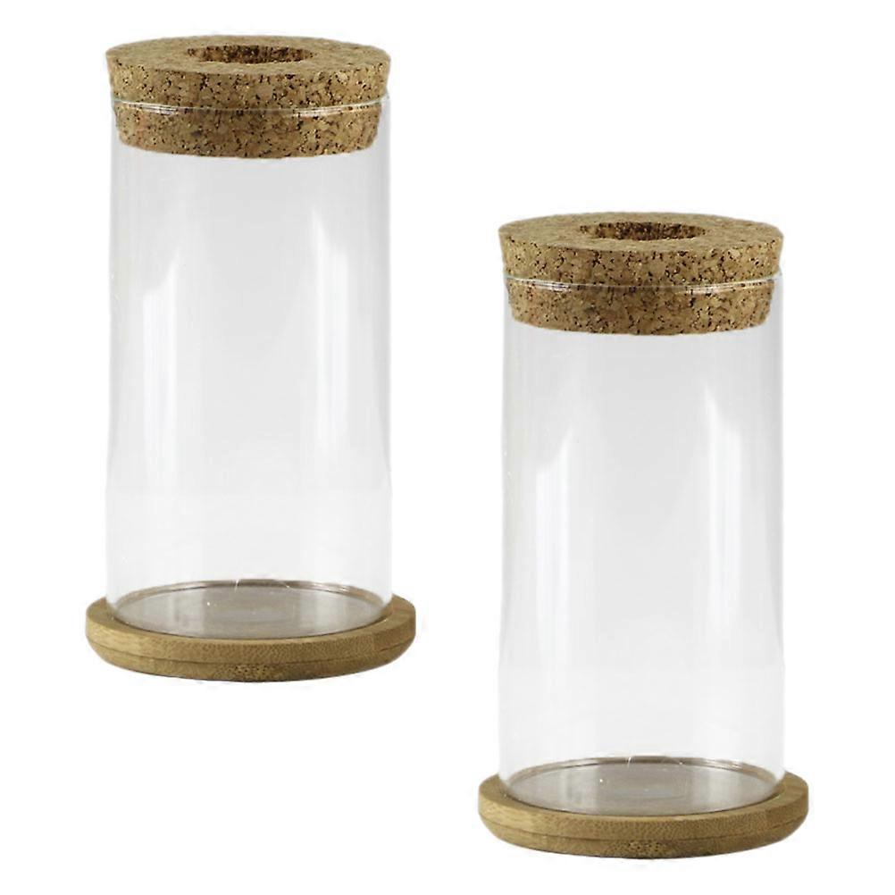 Glass Succulent Vase for Home Storage 6Sets Clear Planter