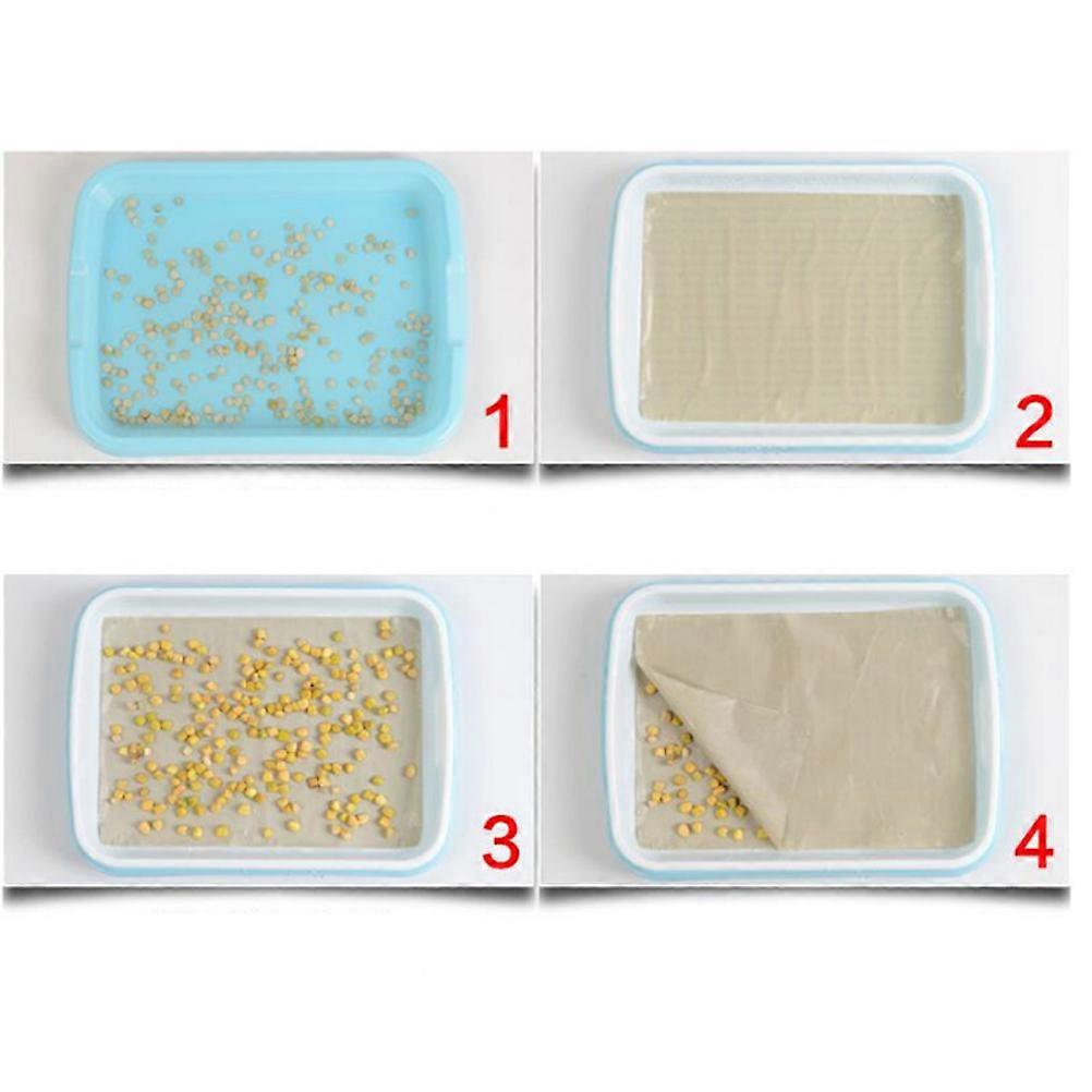 Sprouter Tray Set Multifunctional Growing Trays for Planting