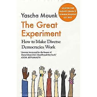 Il grande esperimento: come far funzionare le diverse democrazie