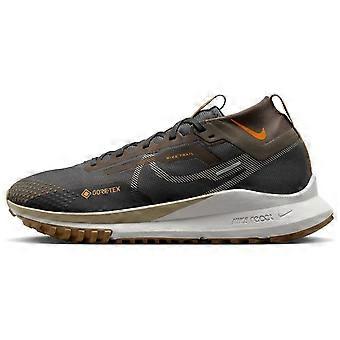 Nike Pegasus Trail 4 Gore Tex Anthracite Ironstone FD5841-001