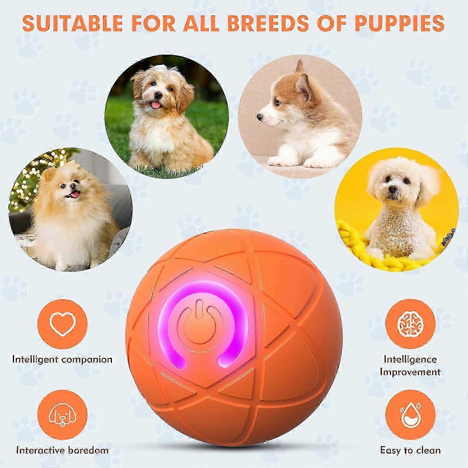 USB-C Rechargeable Dog Ball