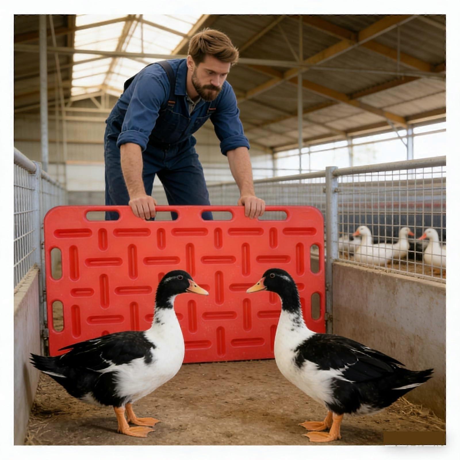 Livestock Sorting Panel 97 x 76 cm  Visibility Red Rectangular Farm Animal Guide Board