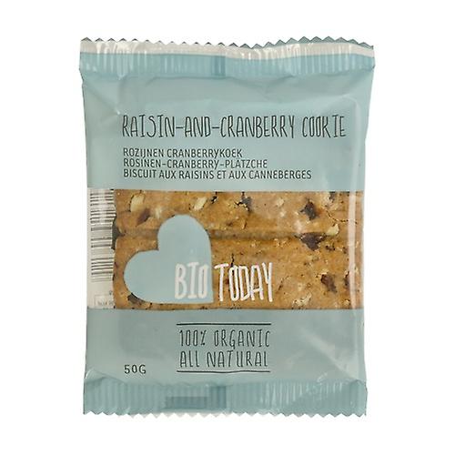 Blueberry and Raisin Cookie 50 g