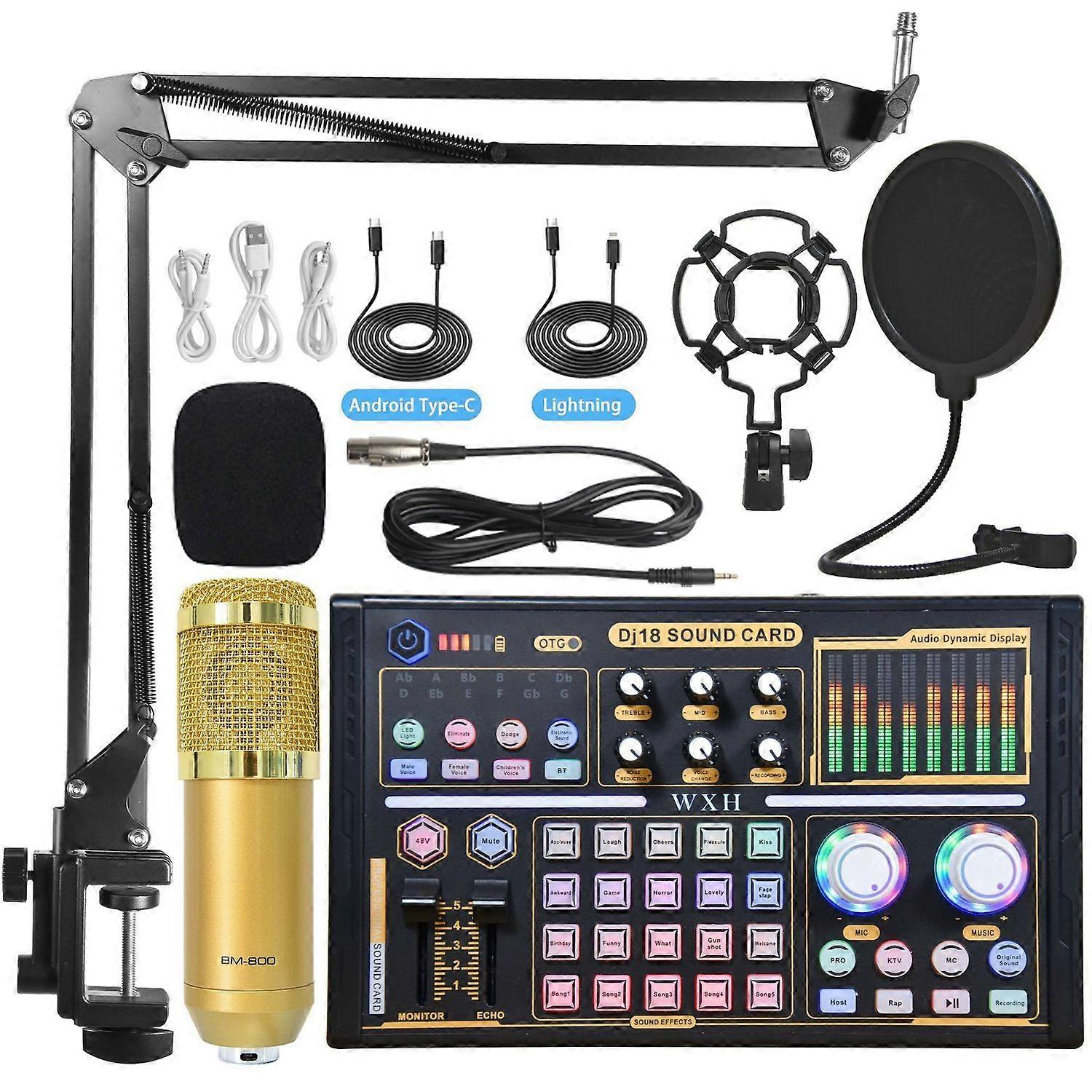 Professional recording studio audio set external microphone sound card with tuning equipment Gold