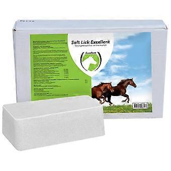 Horse Solt Lick Lollipop