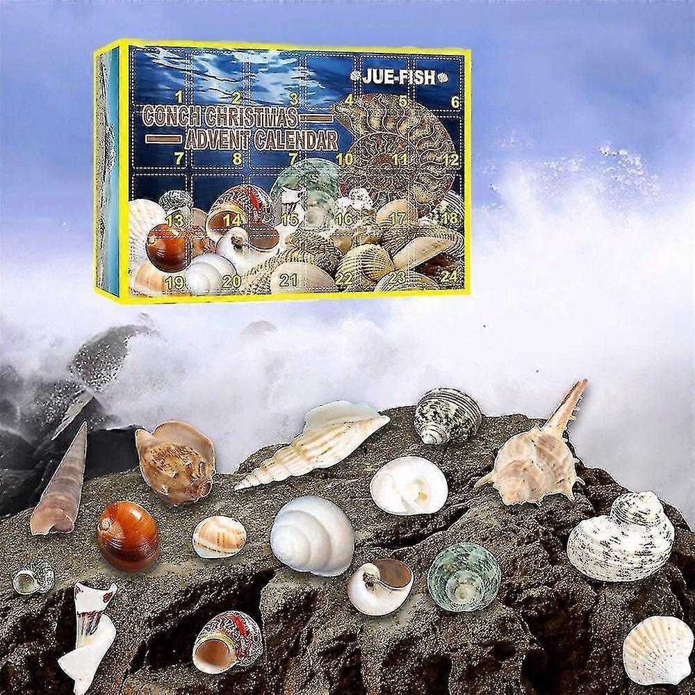 24 Days Countdown Shell Toy Advent Calendar Christmas Box Conch Blind Box