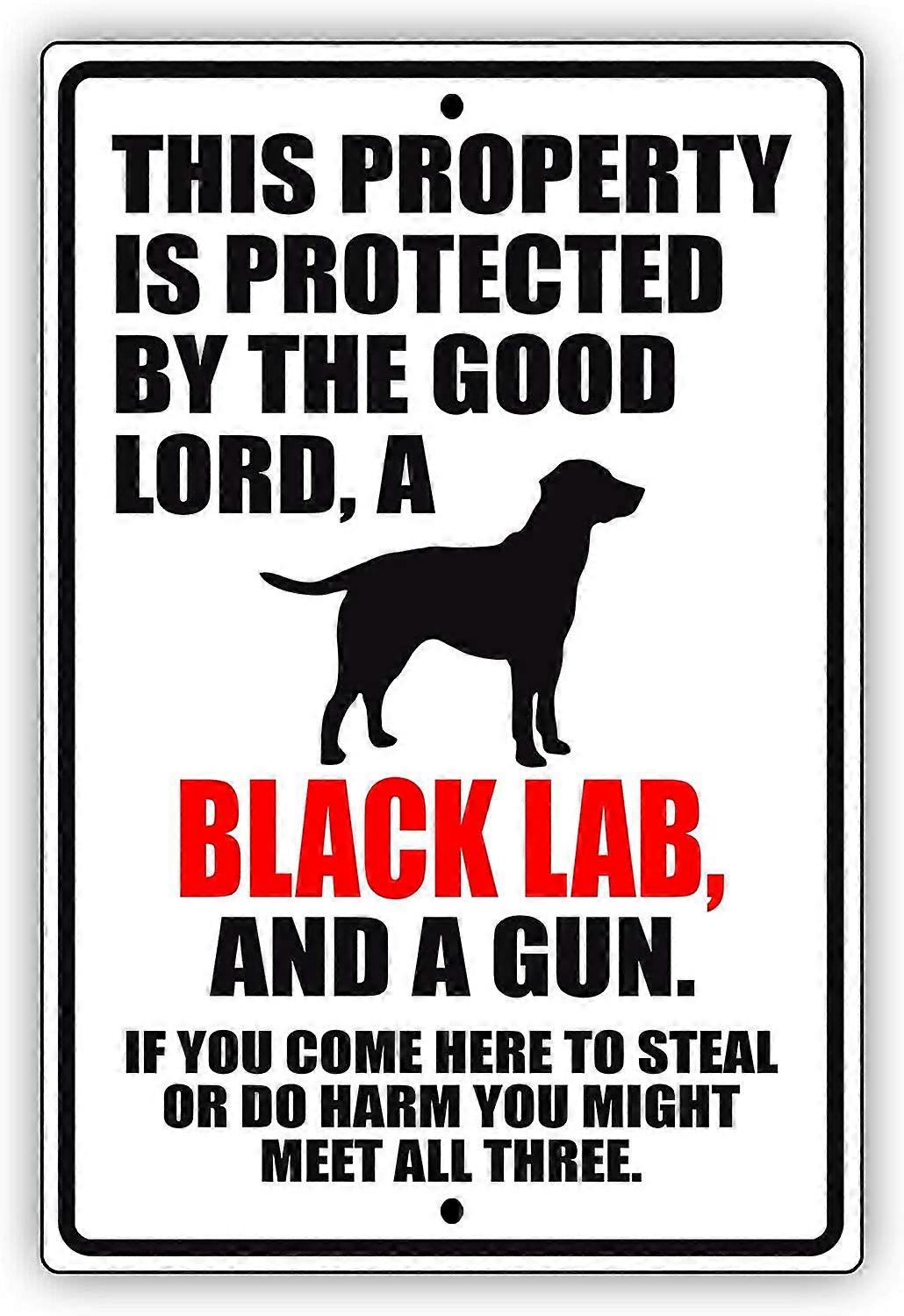 Questa proprietà è protetta dal Buon Dio Un cane da laboratorio nero Novità unica Attenzione Avviso di avvertimento per esterni Cartello in metallo in alluminio