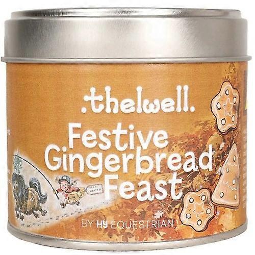 Hy Thelwell Collection Bougie festive au pain d’épice