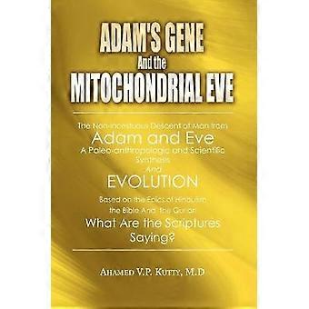 Adam's Gene and the Mitochondrial Eve