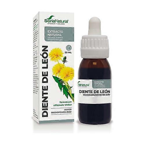 Natural Dandelion Extract 50 ml