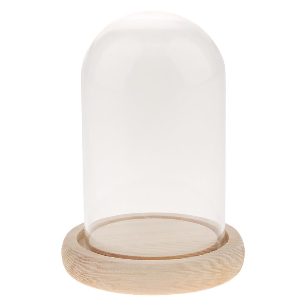 Glass Display Dome Cloche Bell Jar With Wooden Base for DIY Decoration #A