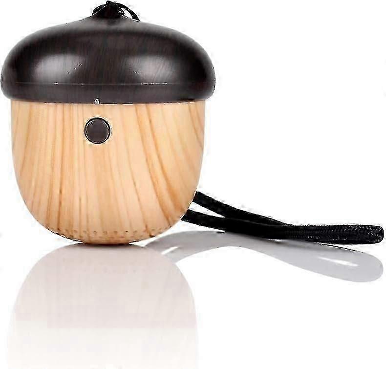 Mini Bluetooth Speaker - Wireless Bluetooth Speaker with Enhanced Bass and Built-in Microphone