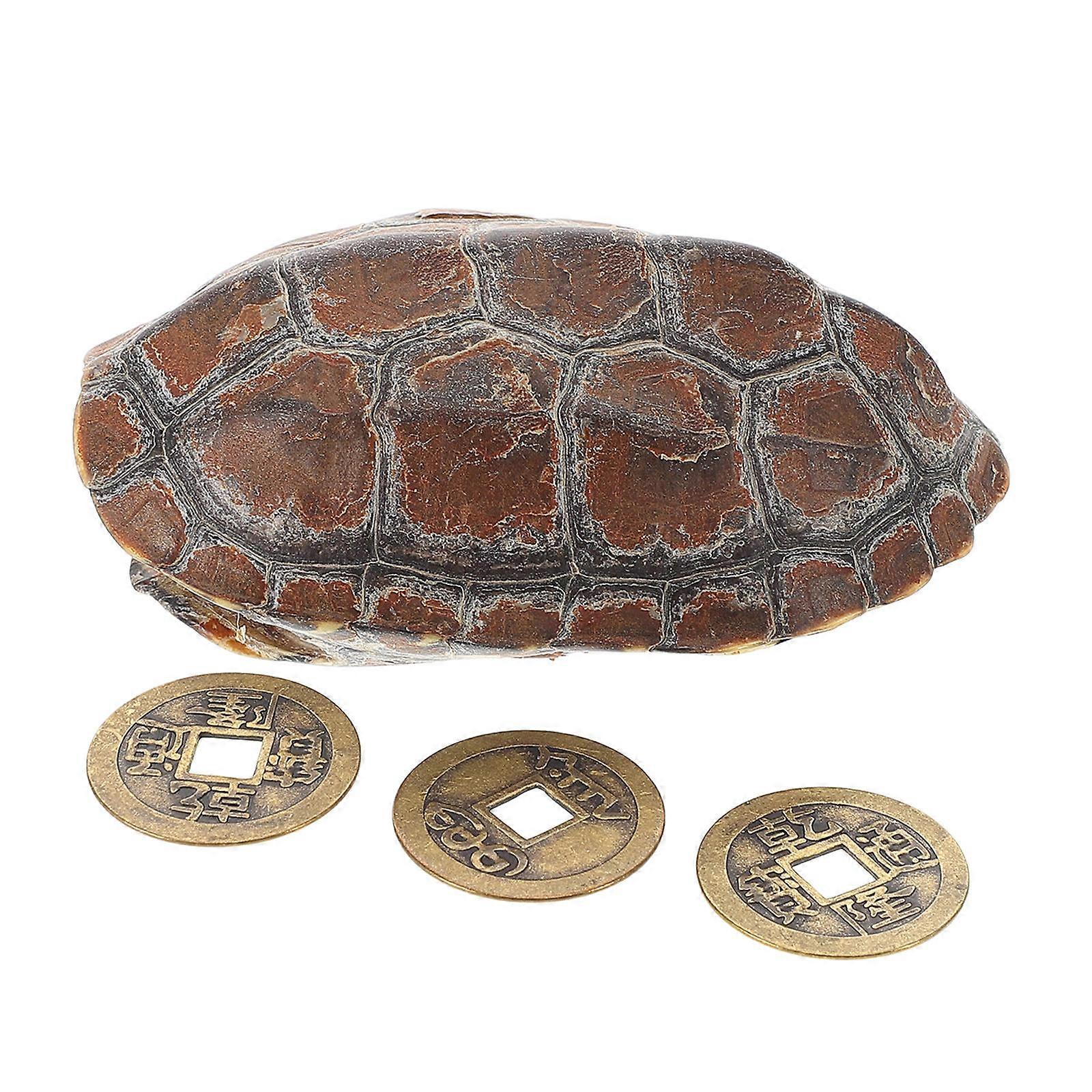 Turtle Shell Sculpture for Decoration Use Unique Retro Design Multifunctional Decor Natural Shell Copper Multi