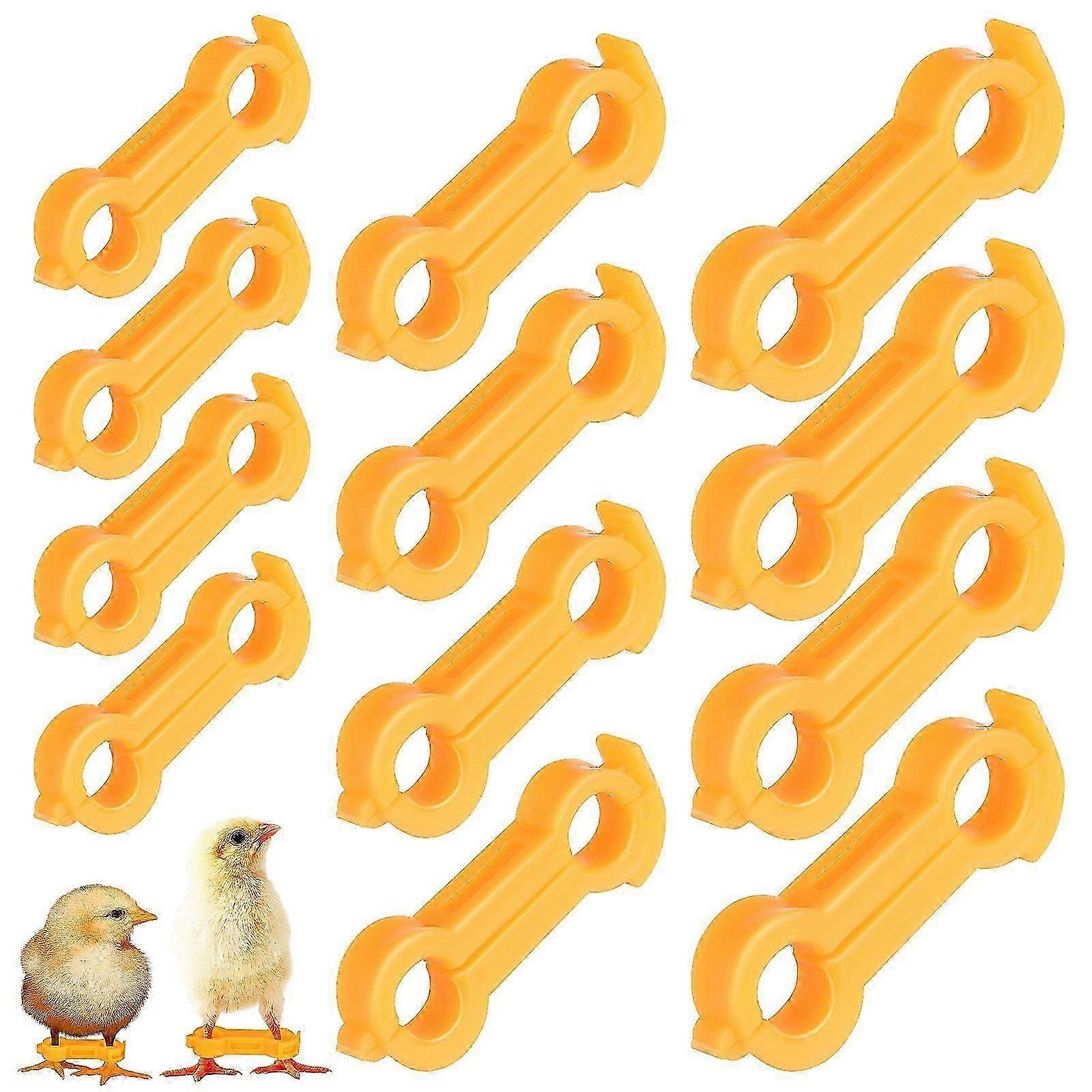 12db csaj lábstabilizátor bébi madarak splay lábjavító szalag újszülött csirke láb hobble merevítő támasz madár lábtámasz