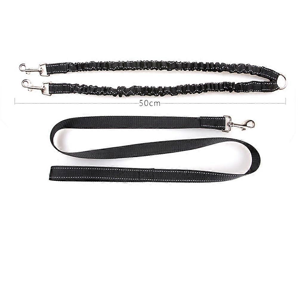 Heavy Duty Nylon Dog Training Leash for Small Medium Dogs – Durable, Weatherproof, Lightweight Walking Lead with Comfort Handle and Shock Absorption
