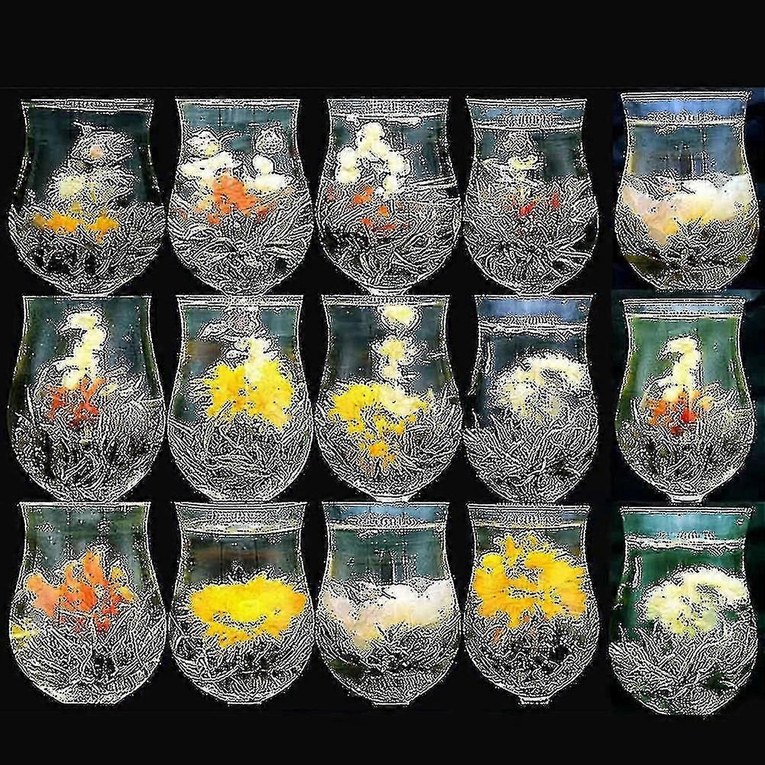 16 Sorten Chinesischer Blühender Tee, Grüner Tee, Perle, Künstlerisch